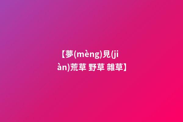 【夢(mèng)見(jiàn)荒草 野草 雜草】